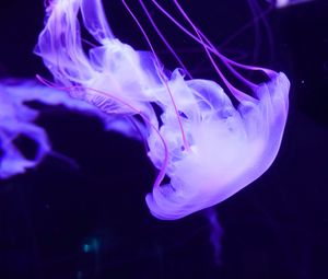 Превью обои медуза, подводный мир, щупальцы, плавание, сиреневый