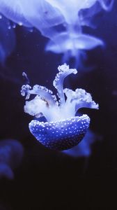 Превью обои медуза, подводный мир, щупальцы, фиолетовый, пятна