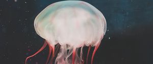 Превью обои медуза, подводный мир, щупальцы, плавание, вода