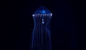 Превью обои медуза, подводный мир, темный, щупальцы