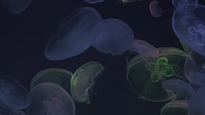 Превью обои медуза, подводный мир, темный, свечение
