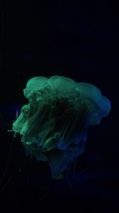 Превью обои медуза, подводный мир, темный, щупальце