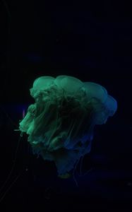 Превью обои медуза, подводный мир, темный, щупальце
