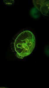 Превью обои медуза, подводный мир, зеленый, свечение, плавать