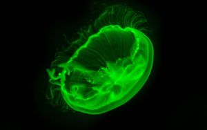 Превью обои медуза, прозрачный, свечение, зеленый, темнота