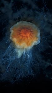 Превью обои медуза, щупальца, море, подводный мир, глубина