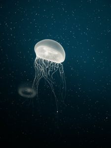 Превью обои медуза, щупальца, подводный, точки