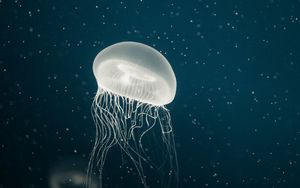 Превью обои медуза, щупальца, подводный, точки