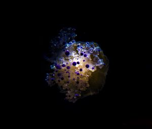 Превью обои медуза, щупальца, темный, под водой, глубина