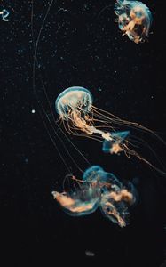 Превью обои медуза, щупальца, вода, красивый, темный