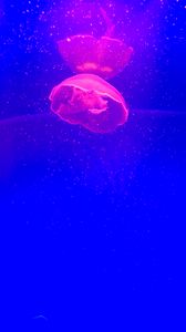 Превью обои медуза, щупальце, розовый, частицы, синий