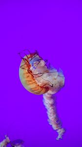 Превью обои медуза, щупальцы, подводный мир, море, глубина