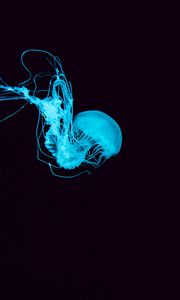 Превью обои медуза, щупальцы, подводный мир, голубой