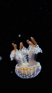 Превью обои медуза, щупальцы, вода, глубина, подводный мир
