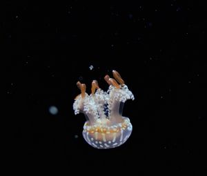 Превью обои медуза, щупальцы, вода, глубина, подводный мир