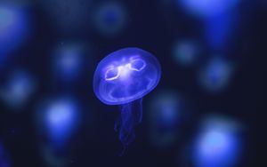 Превью обои медуза, свечение, фиолетовый, неон, подводный мир