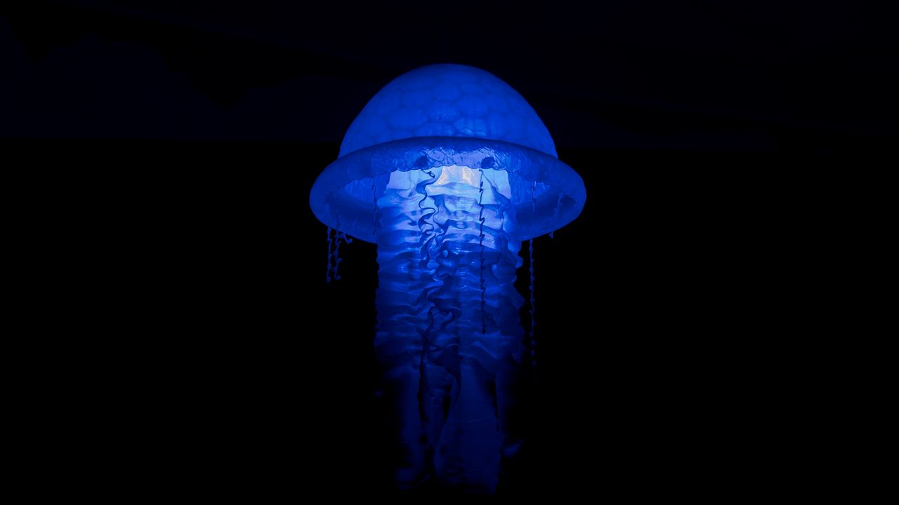 Обои медуза, свечение, светильник, синий, темный