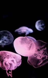 Превью обои медуза, темный, подводный мир, свечение