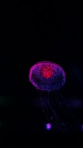 Превью обои медуза, темный, свечение, подводный мир