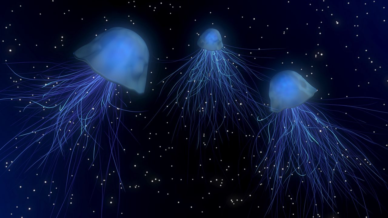 Обои медузы, абстракция, космос, подводный мир
