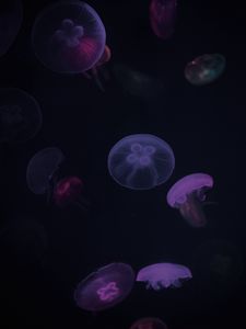 Превью обои медузы, фиолетовый, темный, под водой