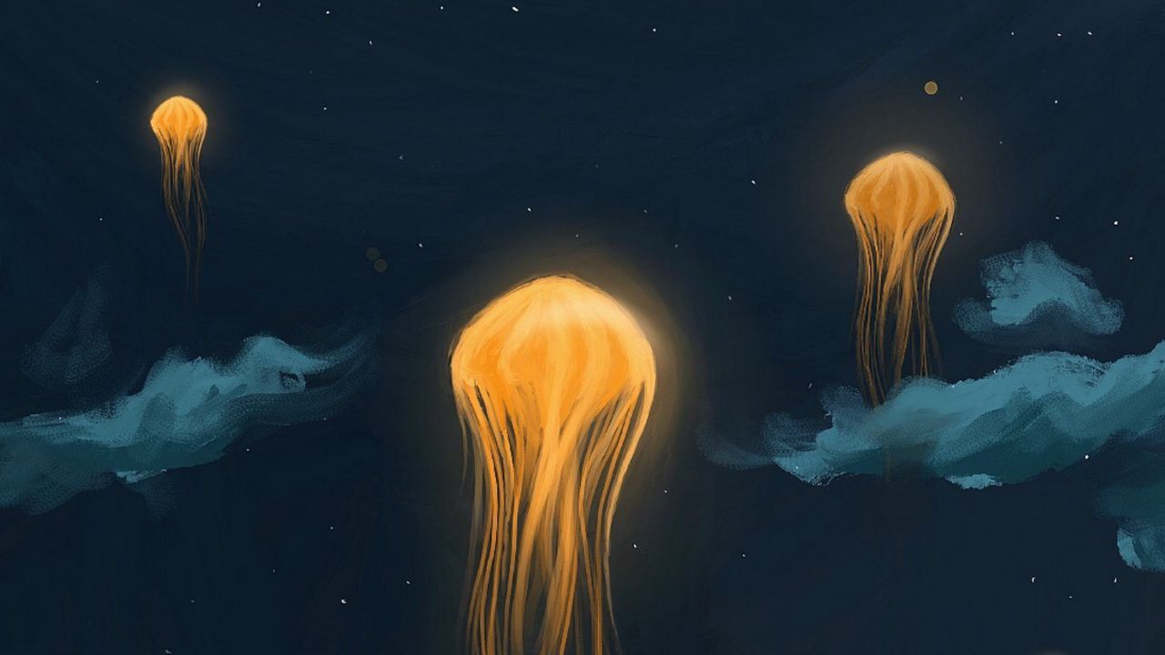 Обои медузы, фонарики, ночь, арт, небо, фантастический