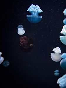 Превью обои медузы, подводный мир, щупальцы, макро