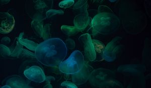 Превью обои медузы, подводный мир, темный, прозрачный