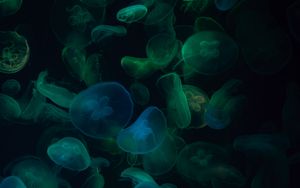 Превью обои медузы, подводный мир, темный, прозрачный