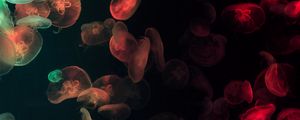 Превью обои медузы, подводный, свечение, разноцветный, темный