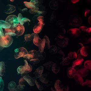 Превью обои медузы, подводный, свечение, разноцветный, темный