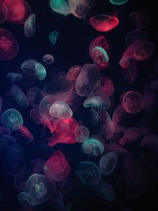 Превью обои медузы, разноцветный, свечение, подводный мир