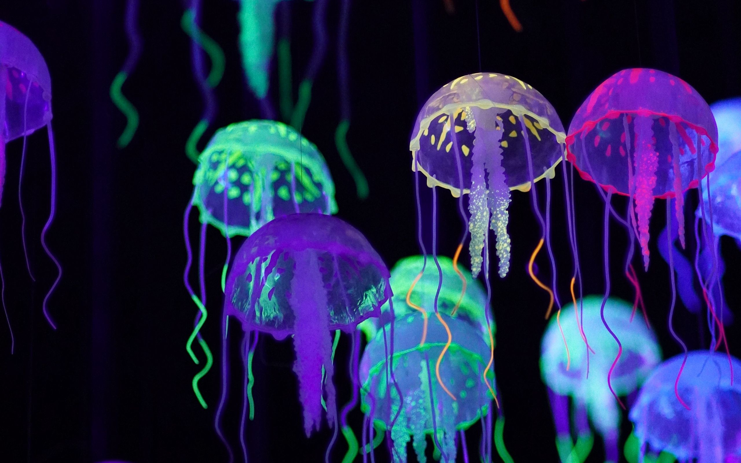 Светящиеся медузы обои