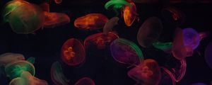 Превью обои медузы, щупальца, разноцветный, темный