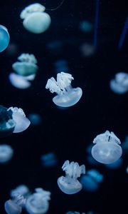 Превью обои медузы, существа, глубина, под водой