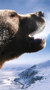Превью обои медведь, бурый, реветь, горы, снег