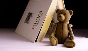 Превью обои медведь, игрушка, книга