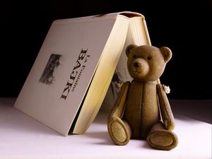 Превью обои медведь, игрушка, книга