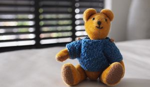 Превью обои медведь, игрушка, кофта