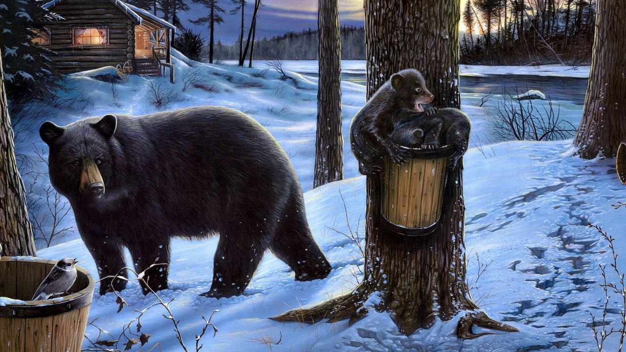 Обои медведь, лес, медвежата, домик, семья, прогулка, еда