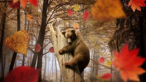 Превью обои медведь, сова, осень, листья, листопад, грибы, лес, деревья