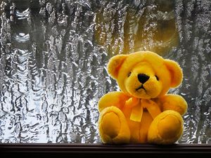 Превью обои медвежонок, игрушка, плюшевый, окно, мокрый