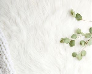 Превью обои мех, ворс, ветки, листья, белый
