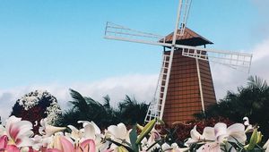 Превью обои мельница, лилии, цветы, здание