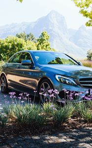 Превью обои mercedes-benz, mercedes, автомобиль, цветы