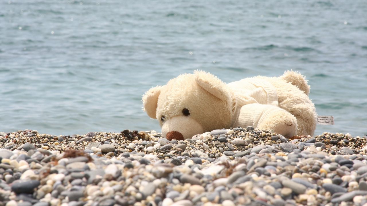 Обои мягкая игрушка, медведь, берег, камни, море