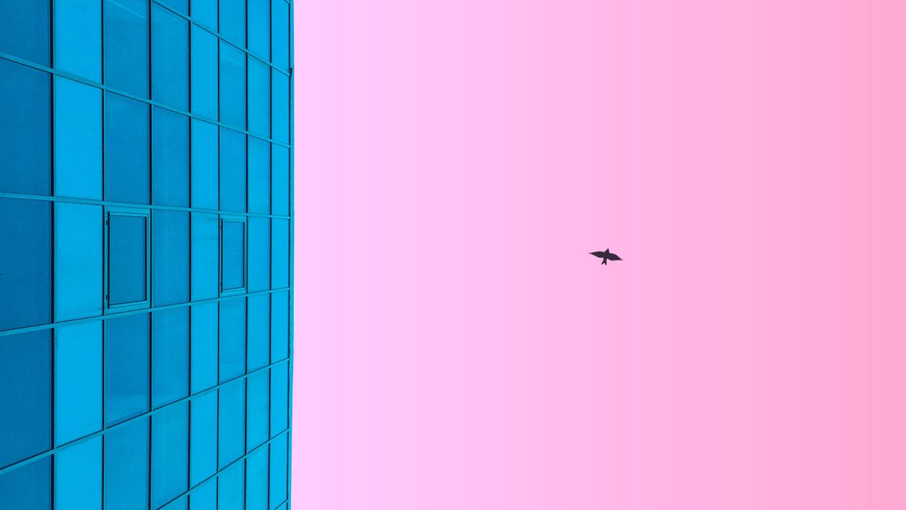 Обои минимализм, голубой, розовый, здание, небо, птица
