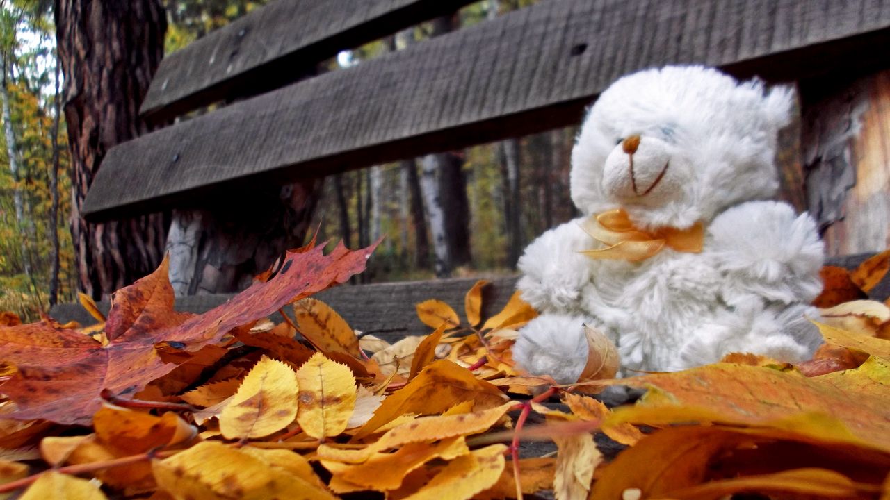 Обои мишка, игрушка, одиночество, осень, скамейка, листья