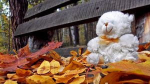 Превью обои мишка, игрушка, одиночество, осень, скамейка, листья