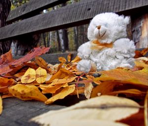 Превью обои мишка, игрушка, одиночество, осень, скамейка, листья